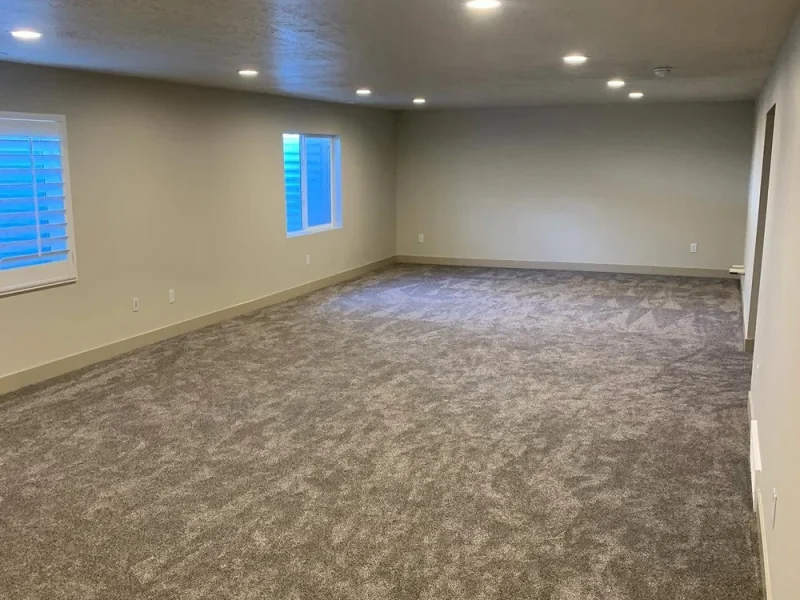 Open Basement Family Room Finish